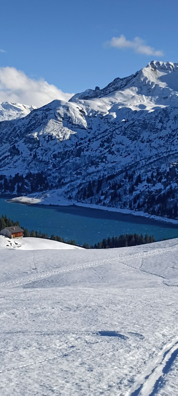 &nbsp;Des moutons sur lac