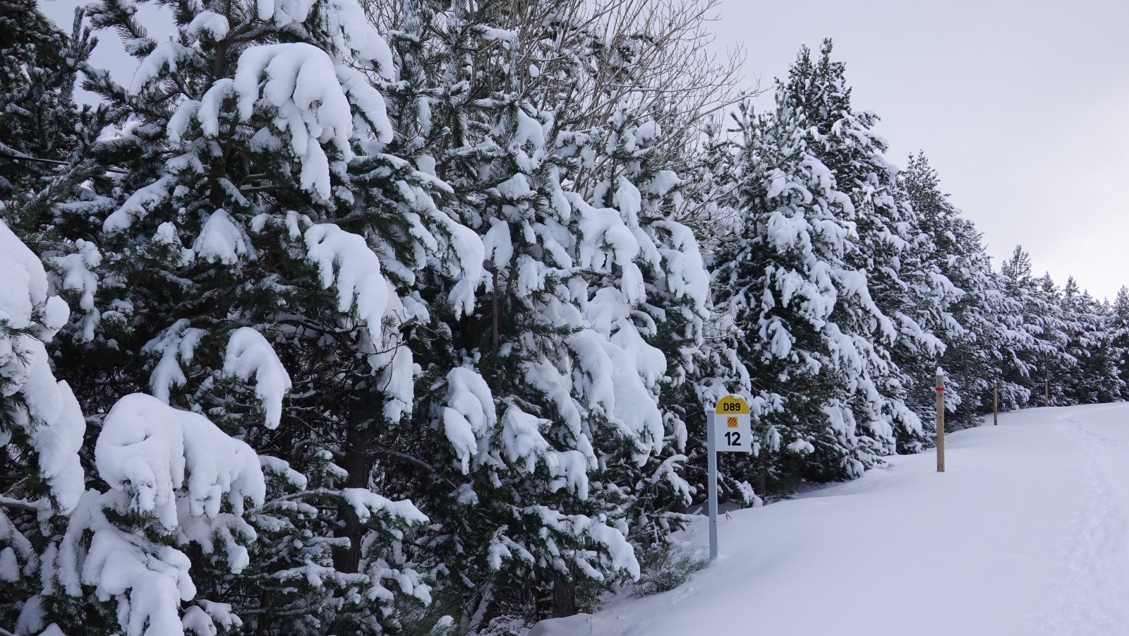 Nous sommes bien en Pays Catalan😊