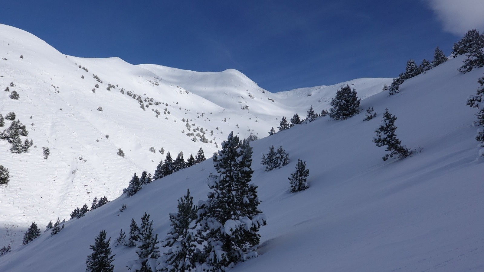 Bonne poudreuse en cours d'ascension