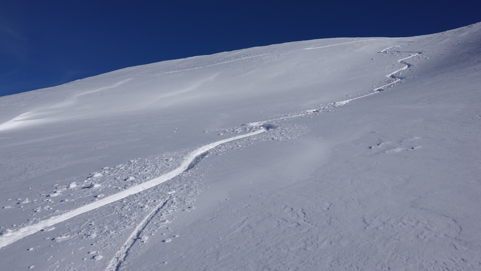 Une bonne poudreuse catalane😊