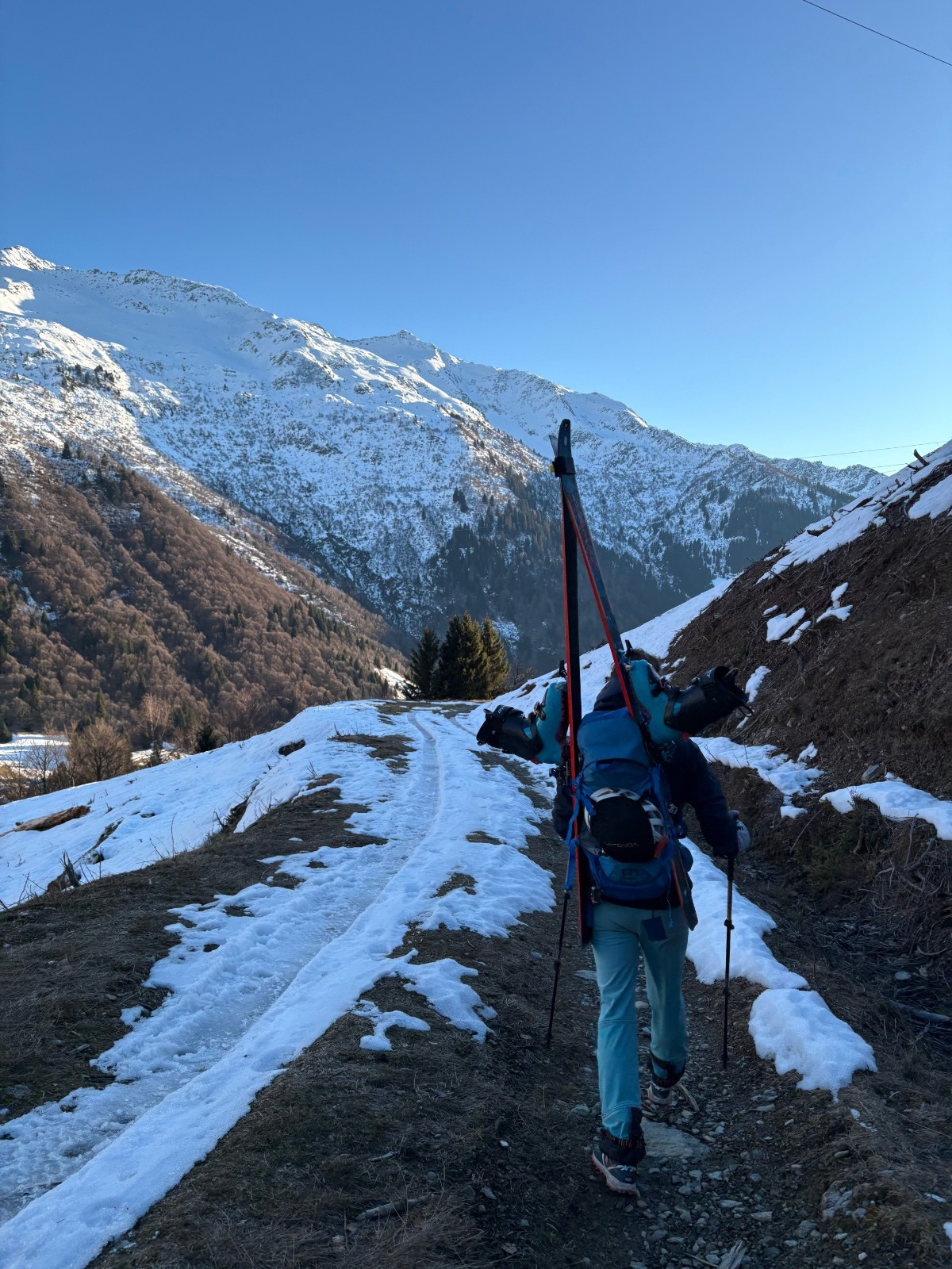 Sur la sente carrossable au retour&nbsp;