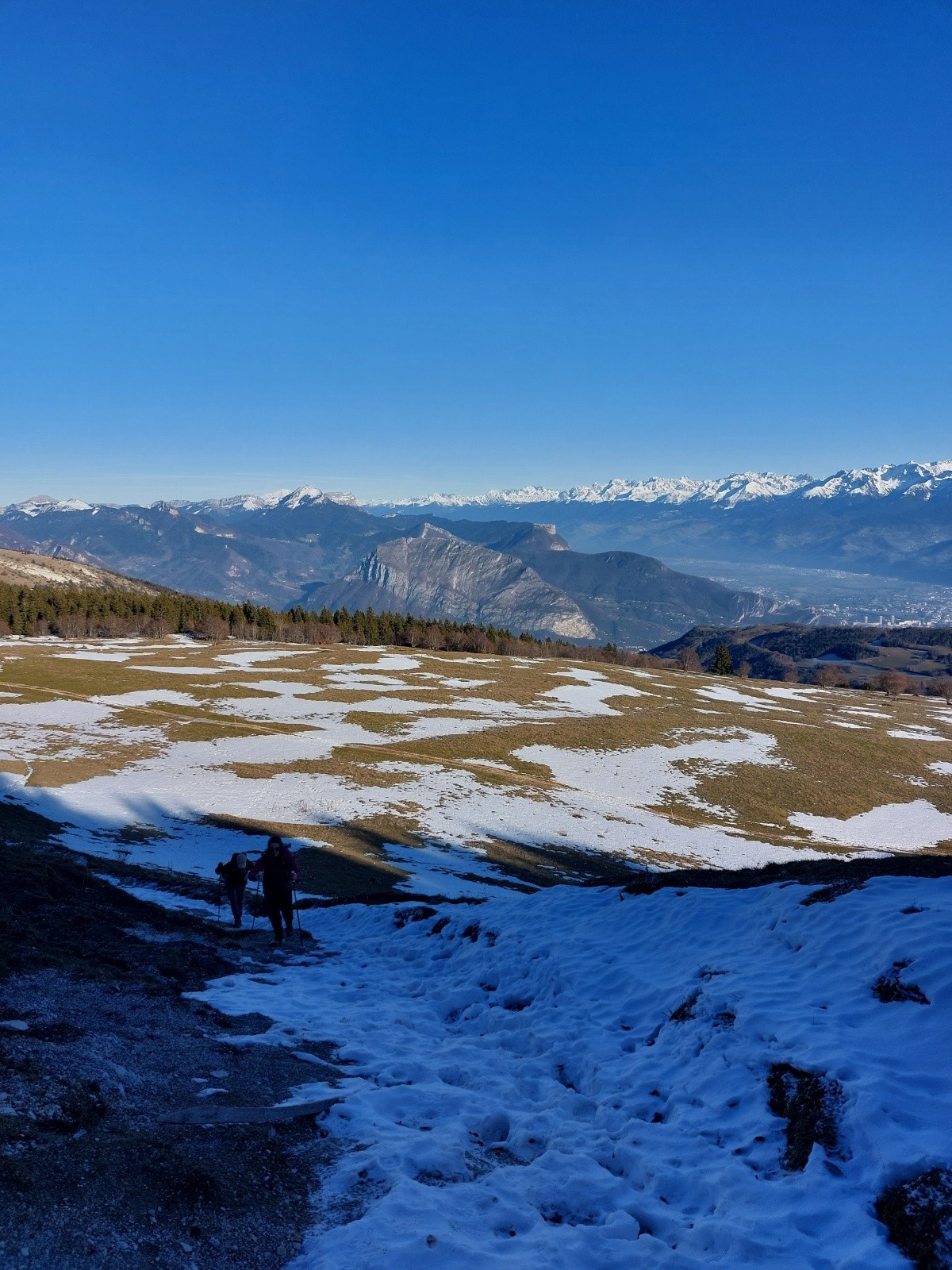 Côté Chartreuse, pas mieux