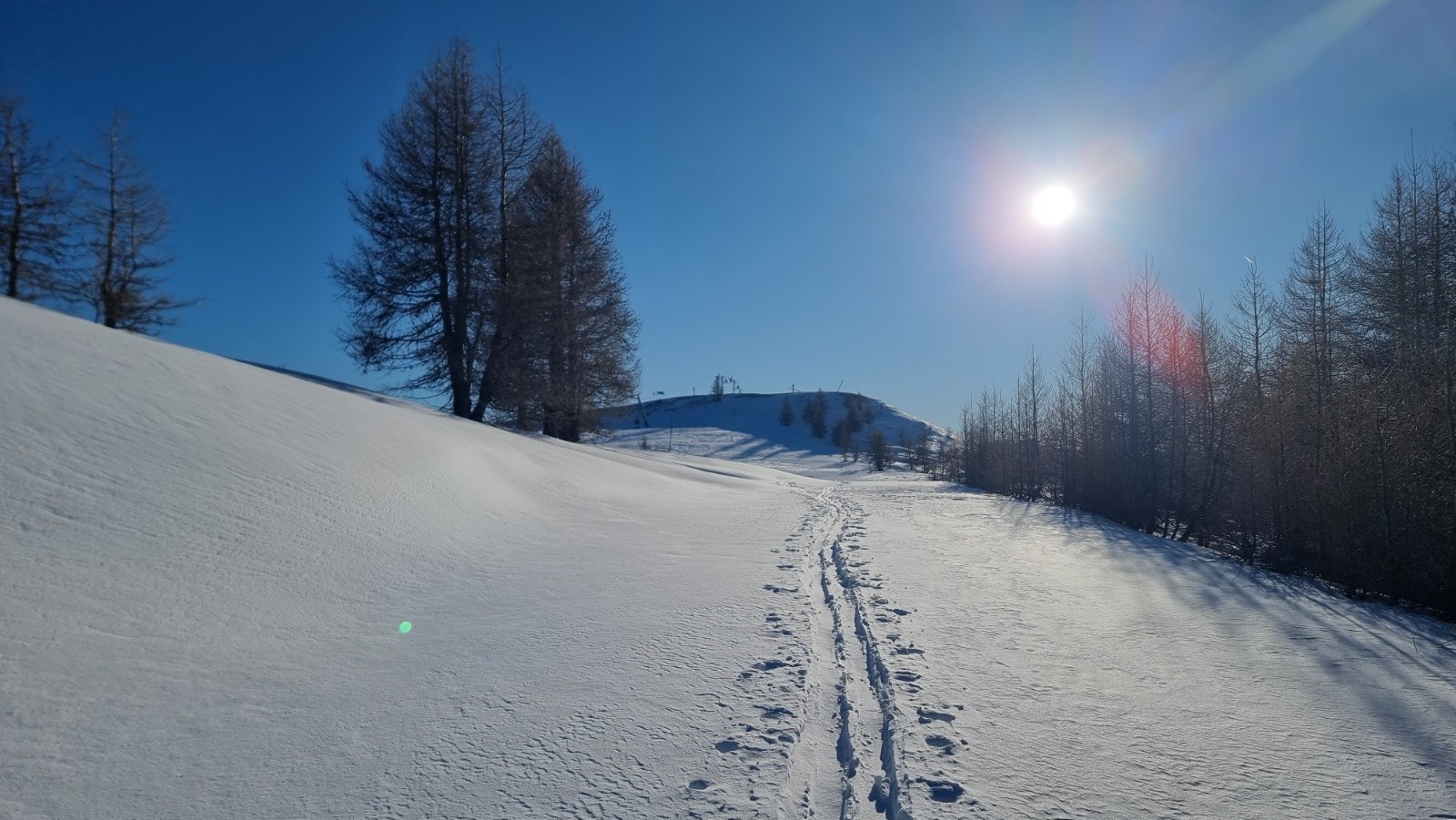 #6 Direction faux Raton Direction faux Raton