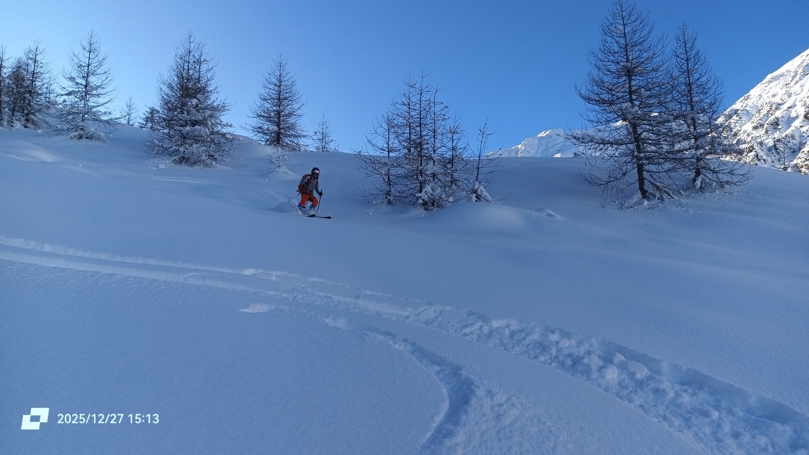 On retourne en forêt 
