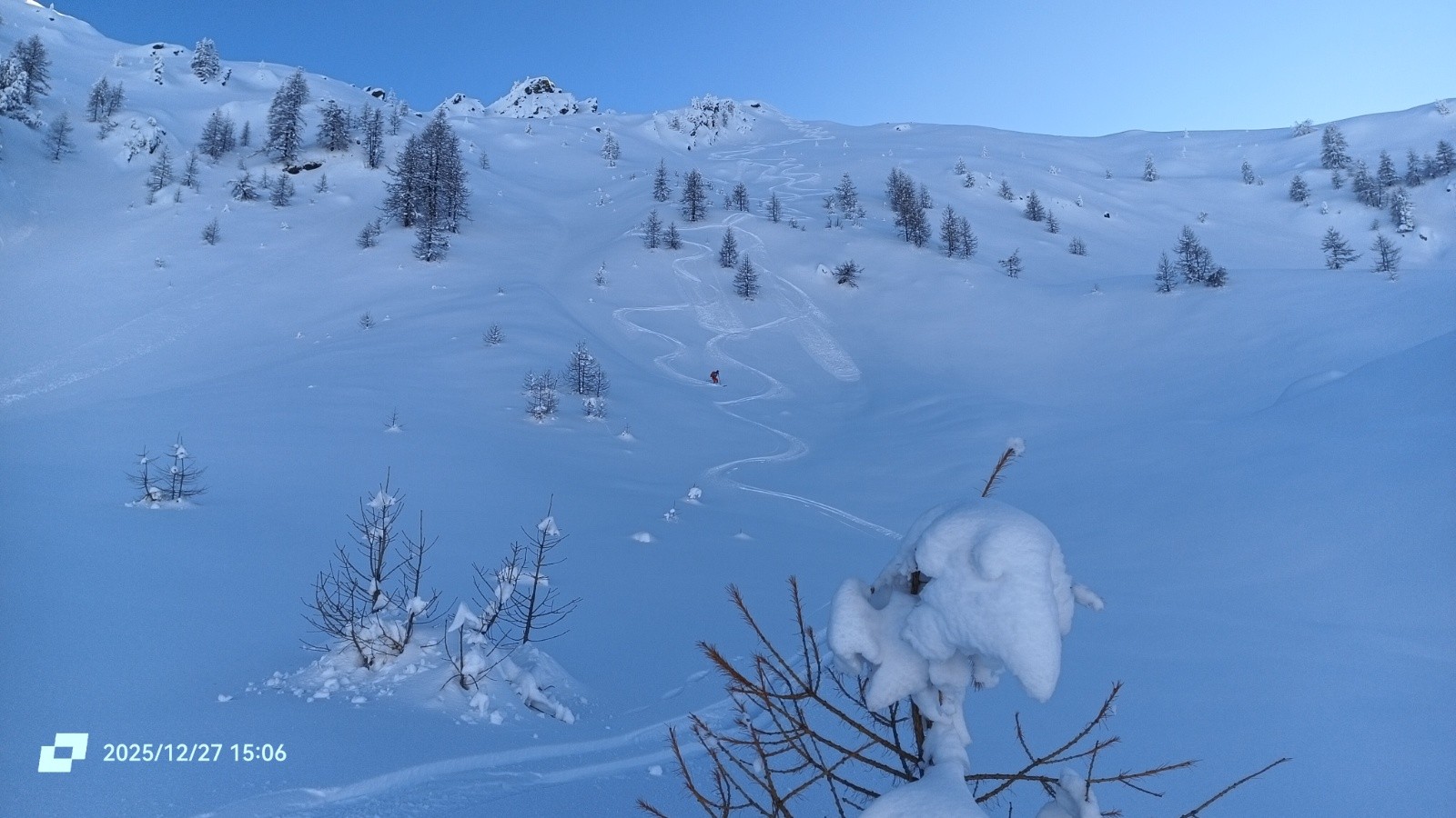Vraiment rien à jeter !&nbsp; 