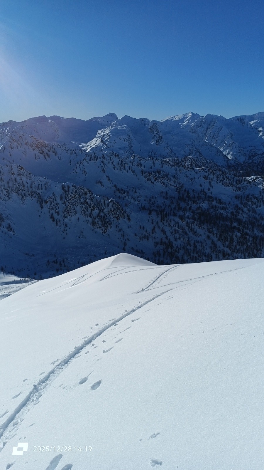 #17 Signature Signature