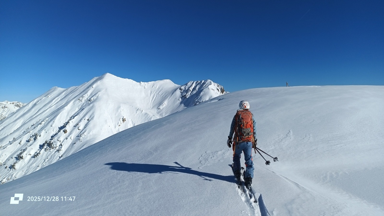 #9 Testa di Mouton Testa di Mouton