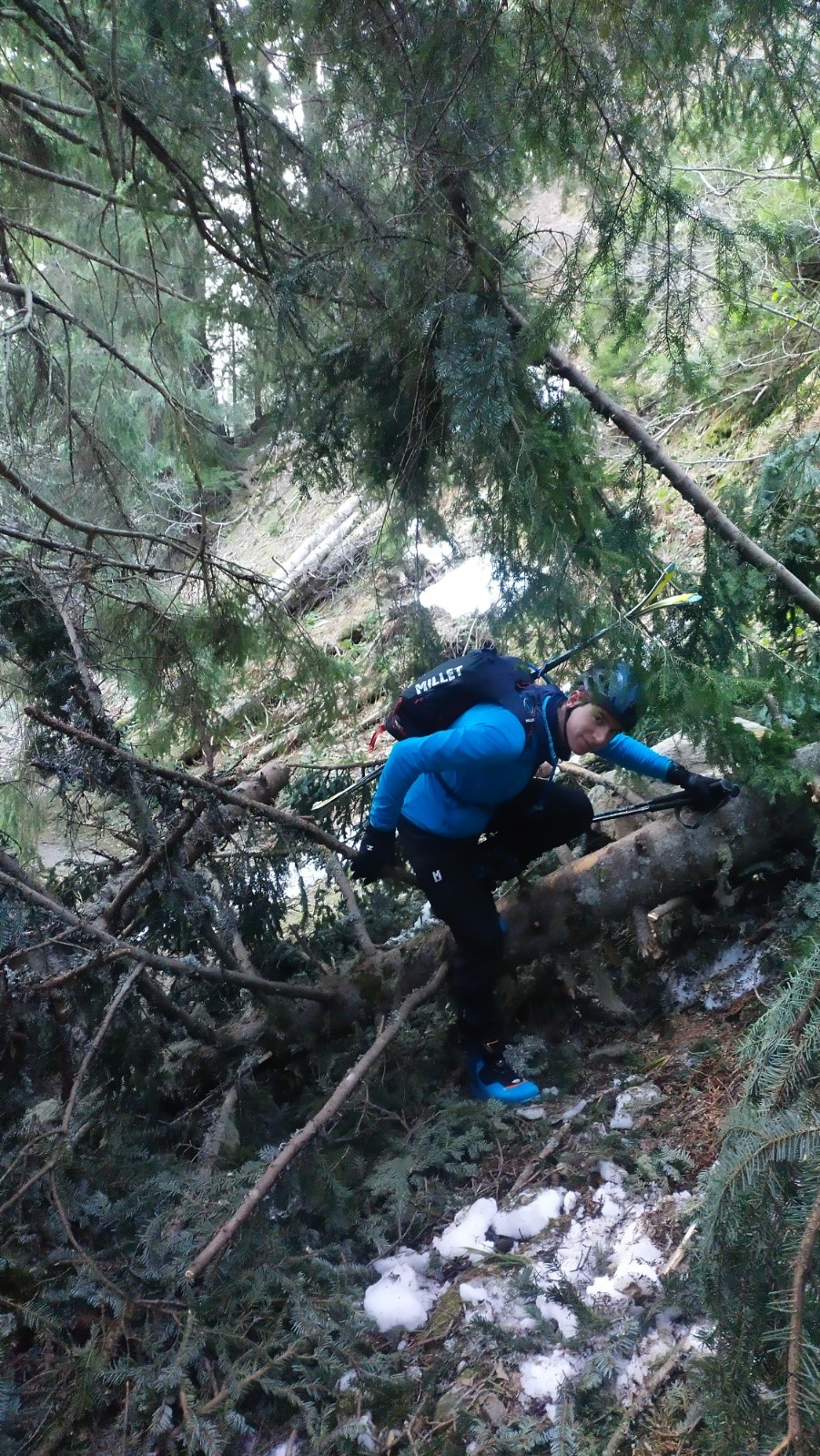 &nbsp;Passage des sapins