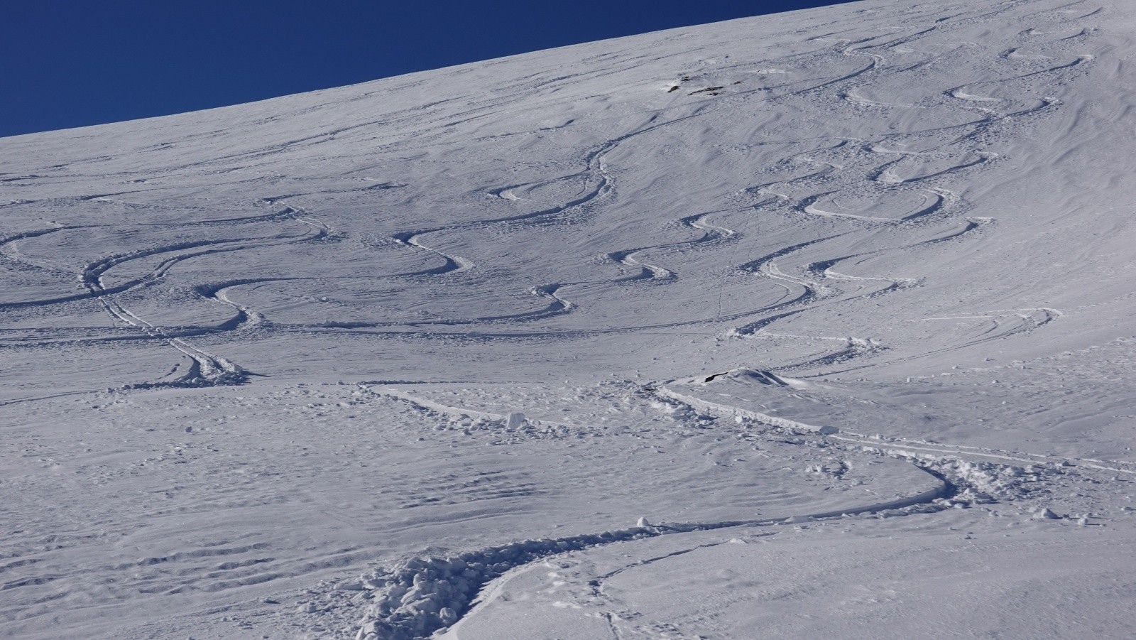 #24 Bonne poudreuse Bonne poudreuse