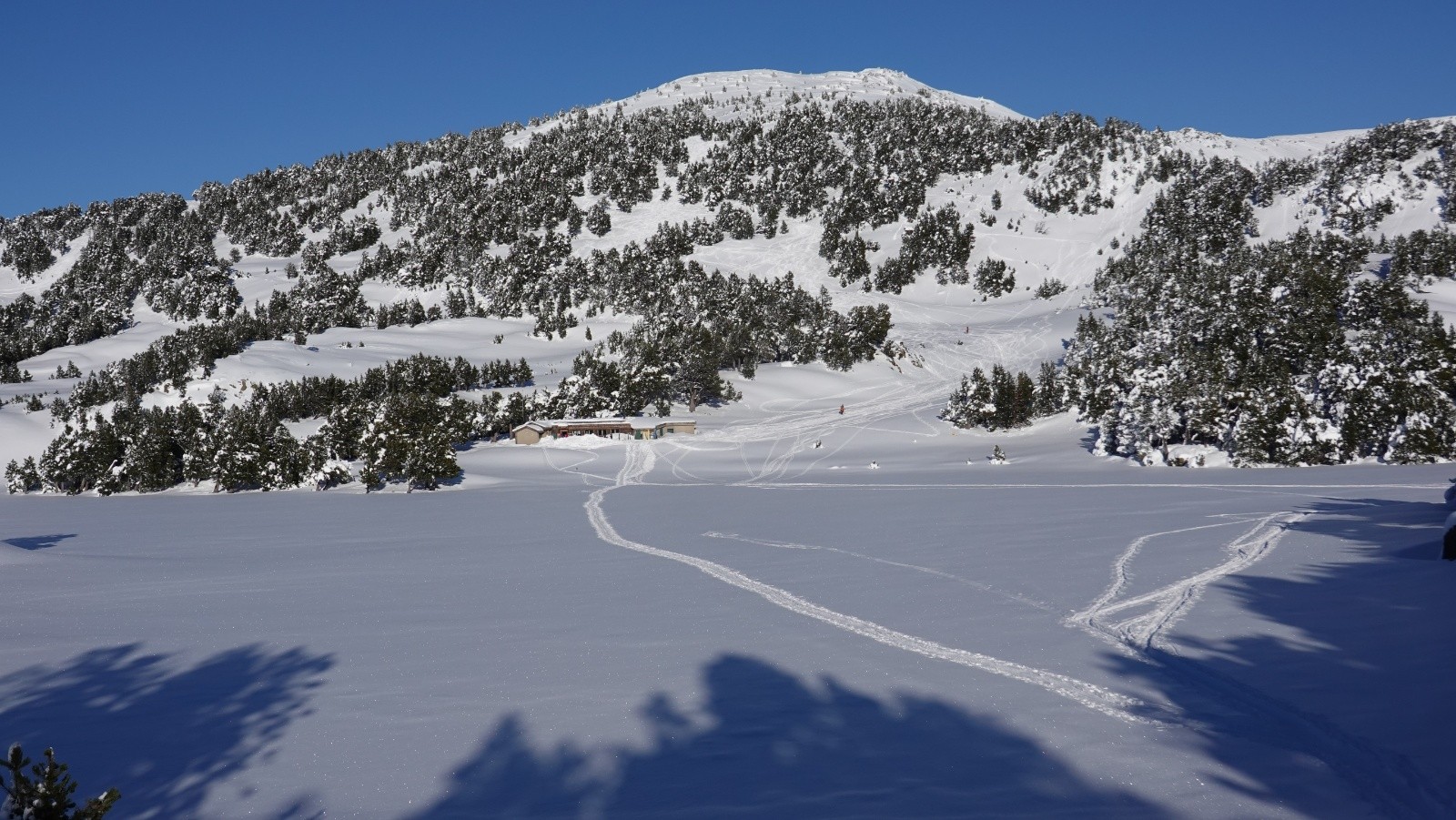 #25 Retour au Refuge des Camporells Retour au Refuge des Camporells