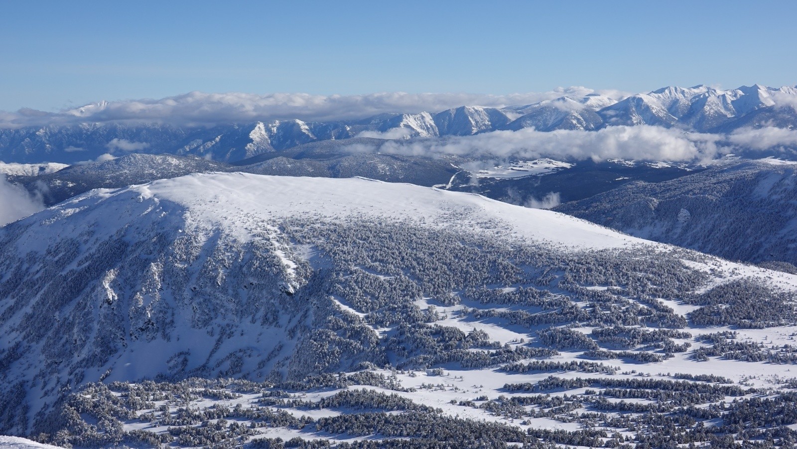#15 Panorama sur le Puig del Pam Panorama sur le Puig del Pam