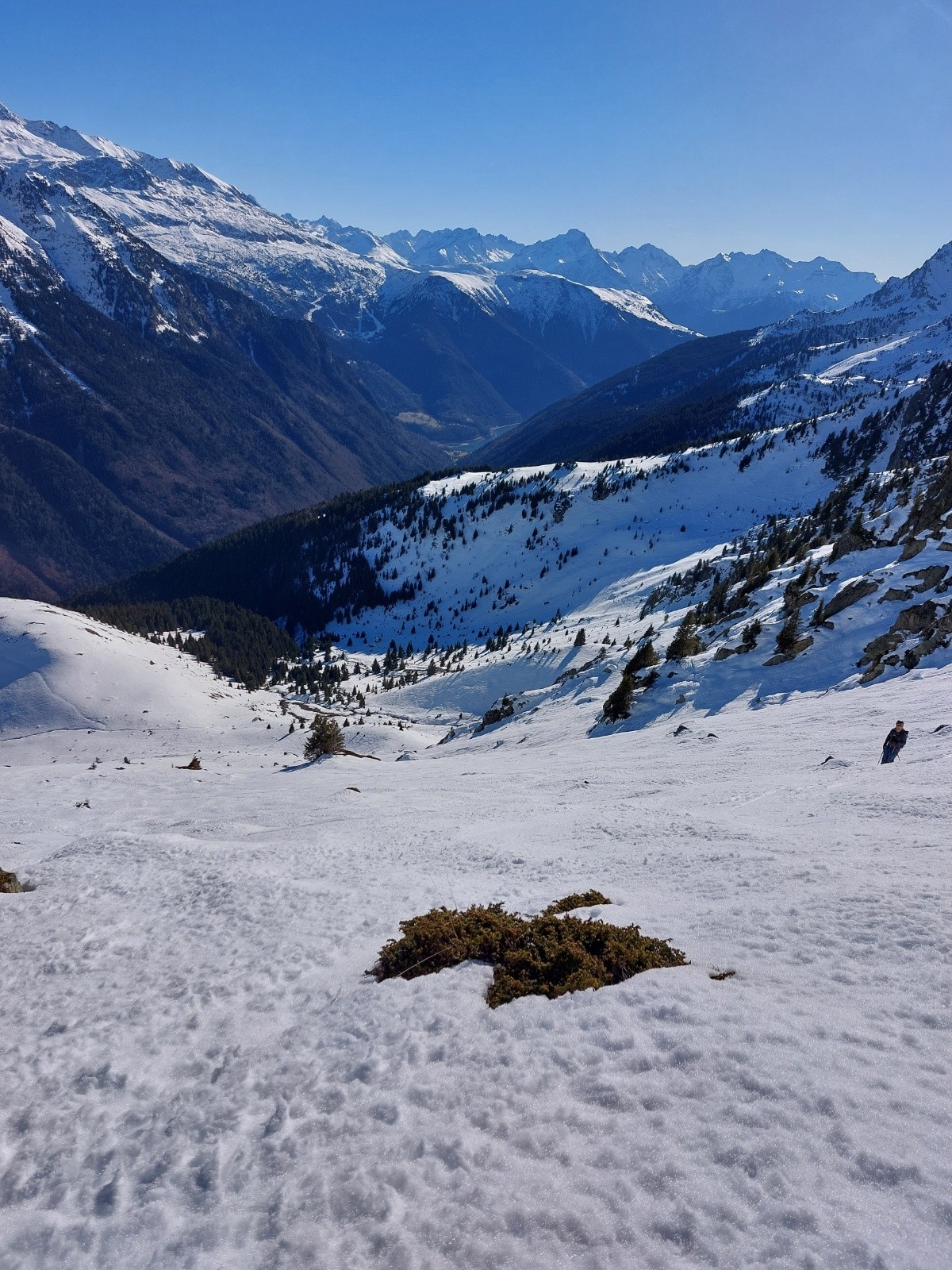 #5 Fine moquette Fine moquette