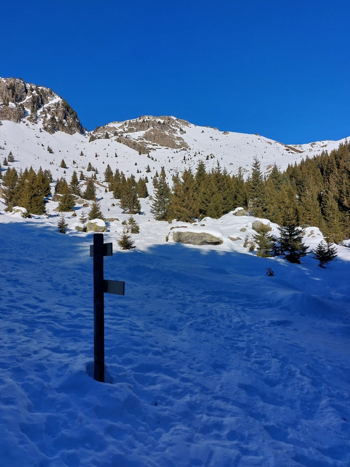 #1 La fin de la forêt : chaussage La fin de la forêt : chaussage