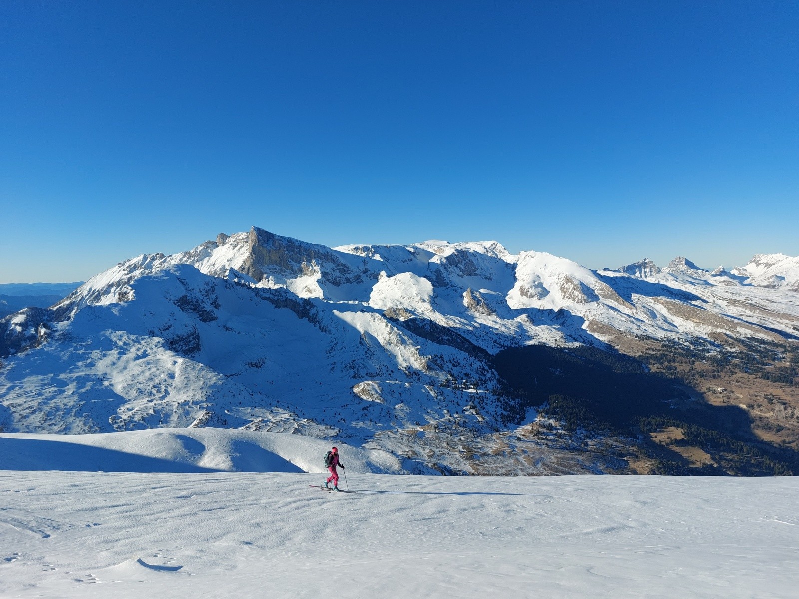 #8 La Plate La Plate