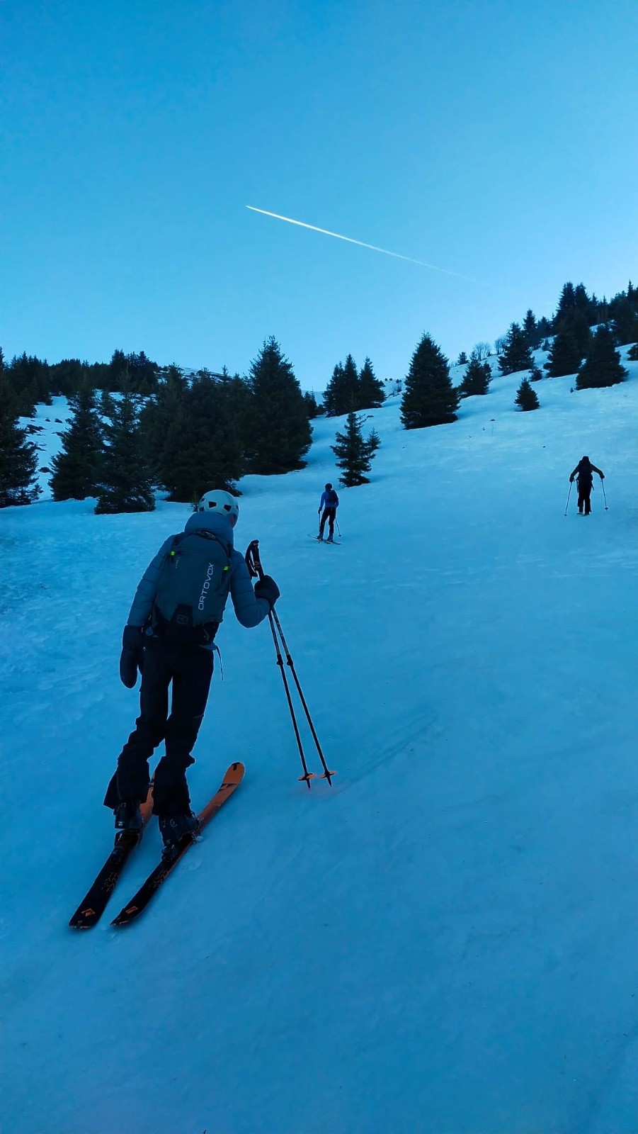 #1 sortie de foret sortie de foret