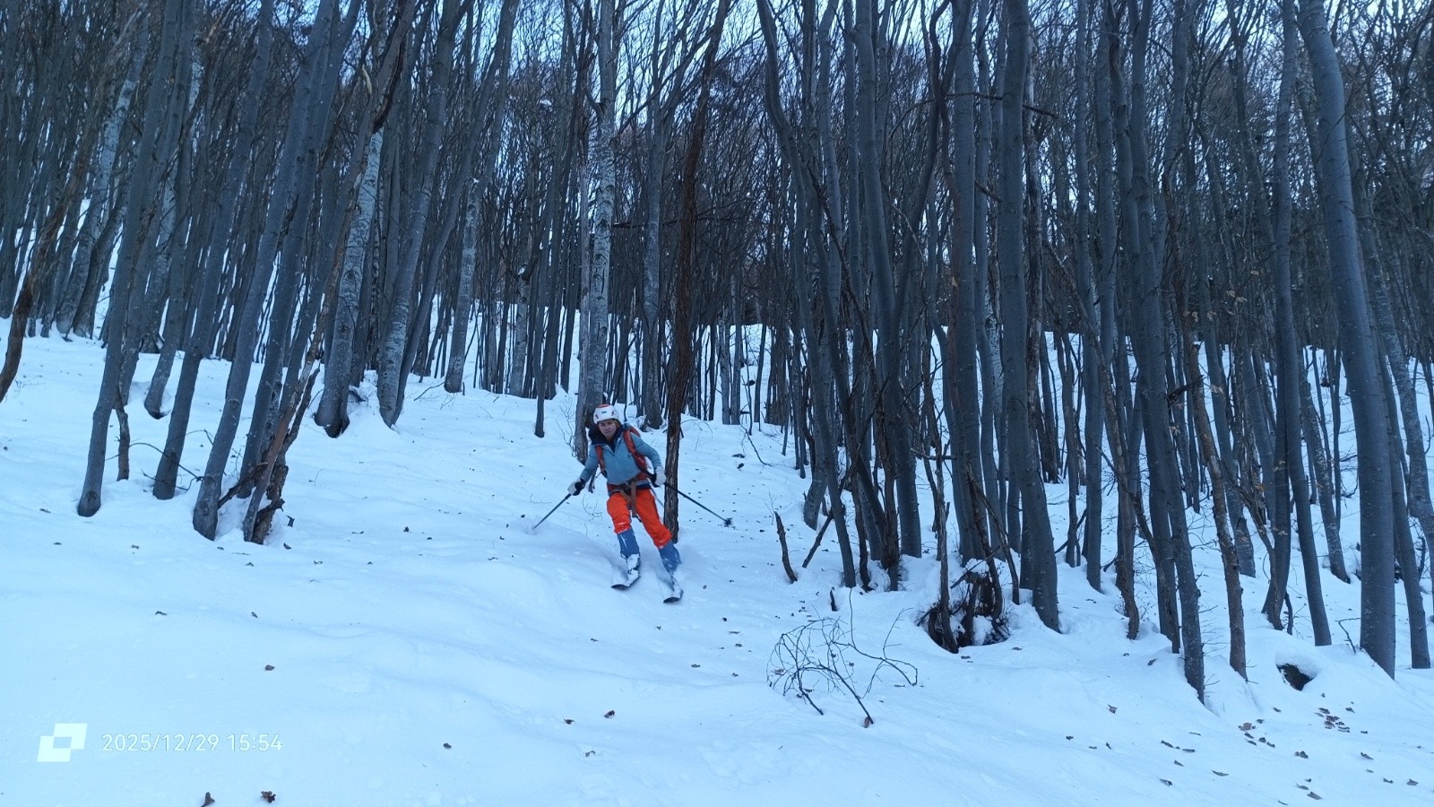 #22 En forêt En forêt
