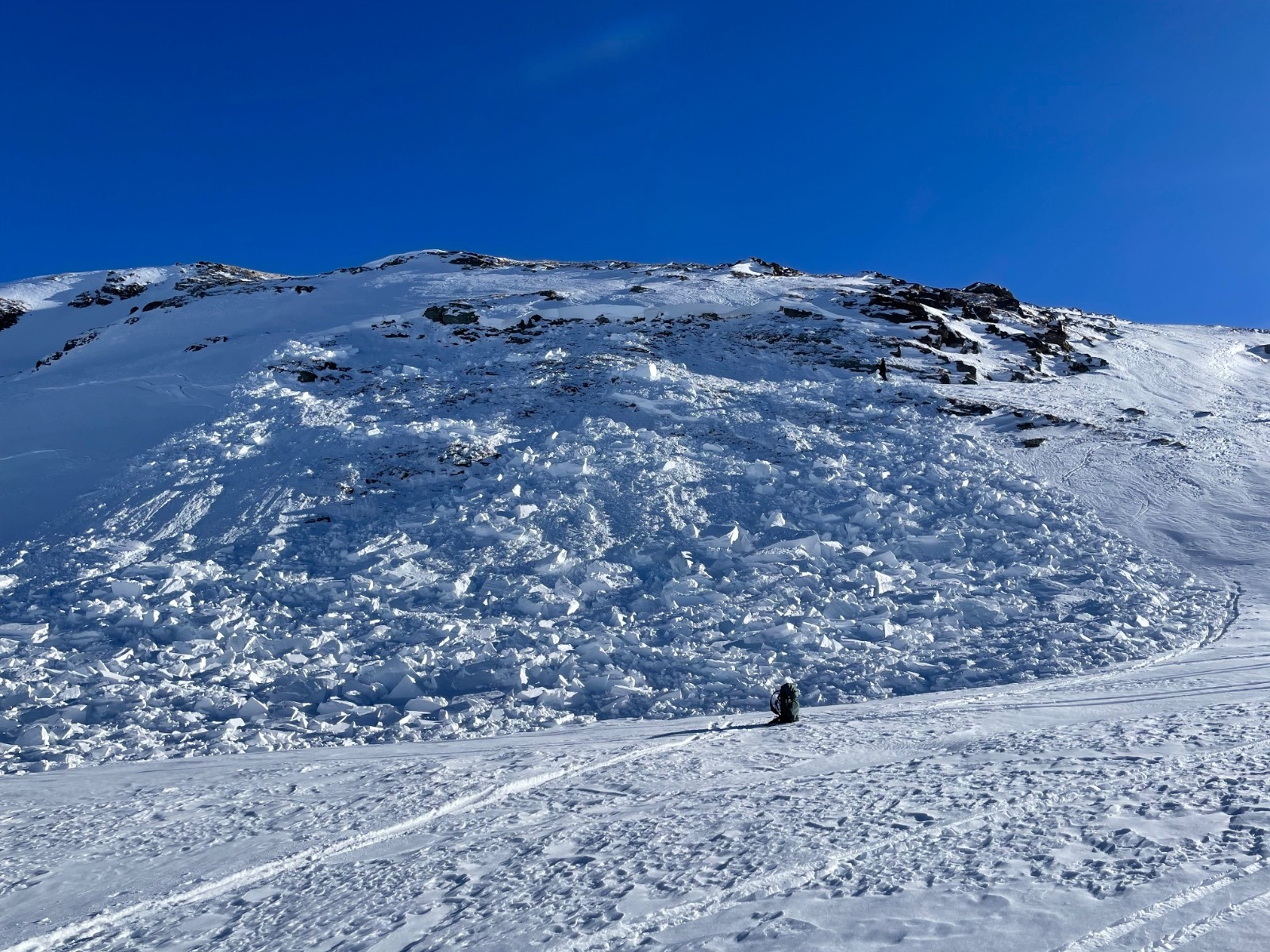 #2 Plaque observée à la montée à l’approche du col des Évettes. Plaque observée à la montée à l’approche du col des Évettes.