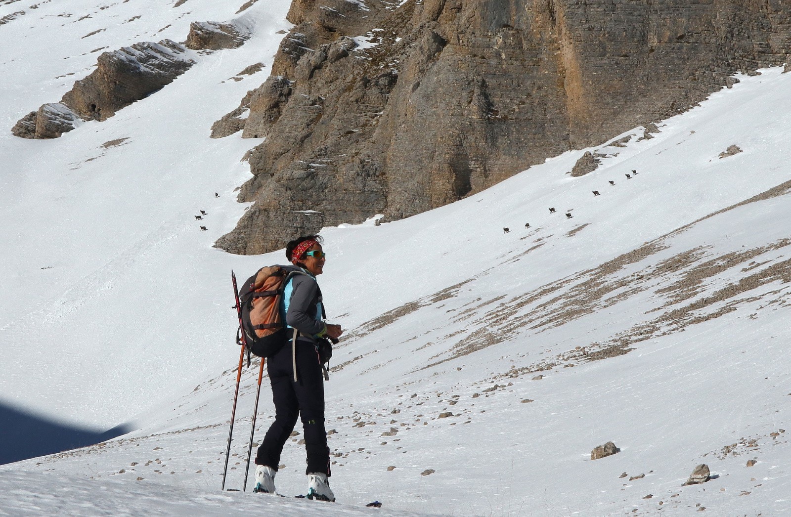 le Pivallon&nbsp;&nbsp;