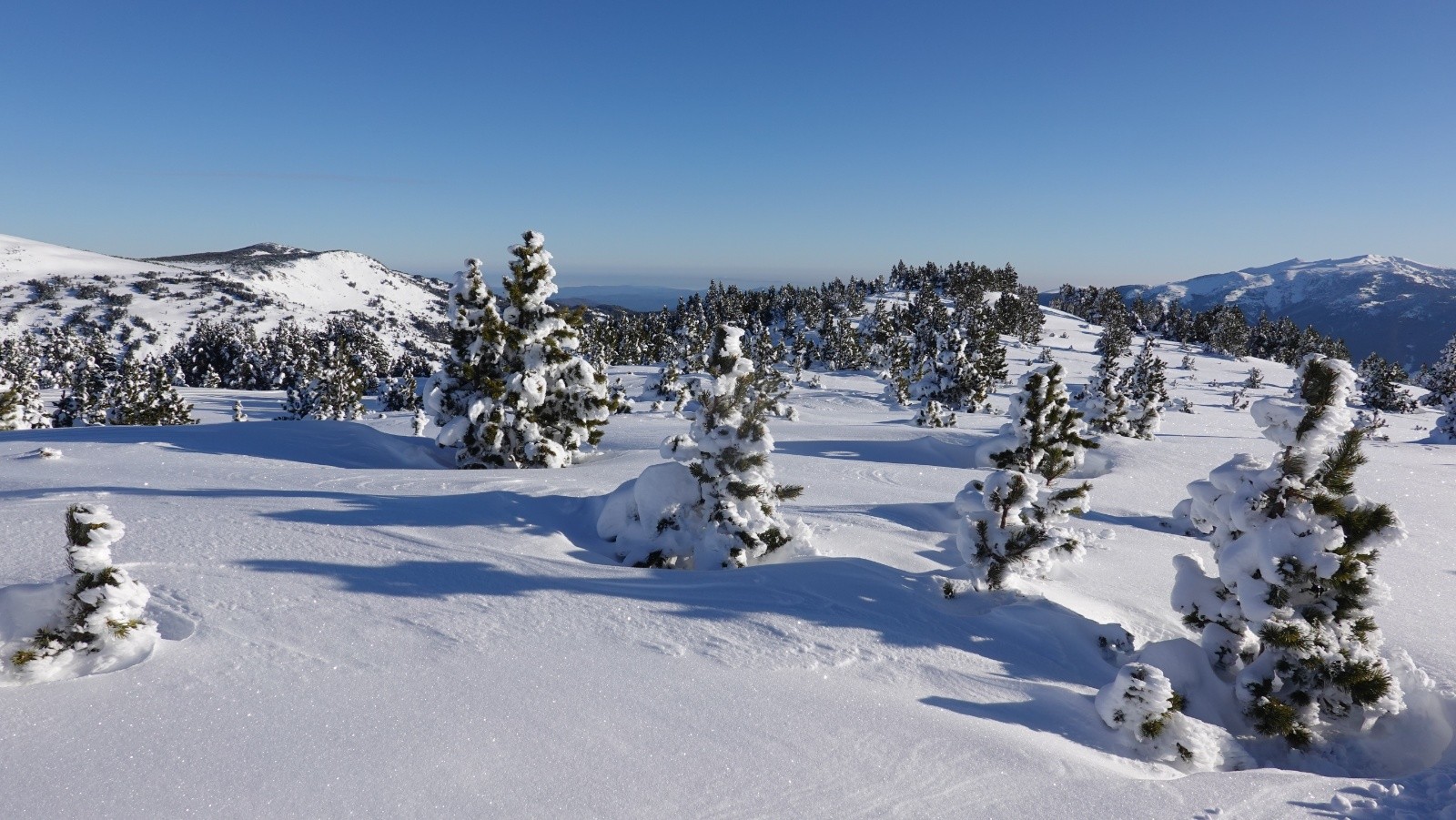 La Serra de Mauri et le Madres