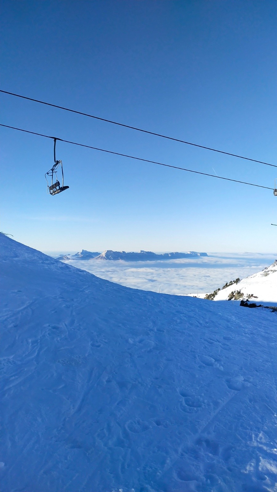 &nbsp;Chartreuse&nbsp;