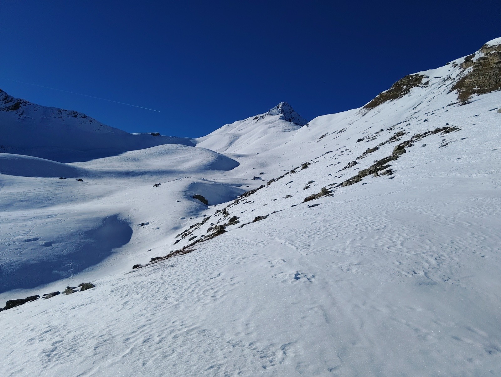 #27 Grande chible au fond Grande chible au fond