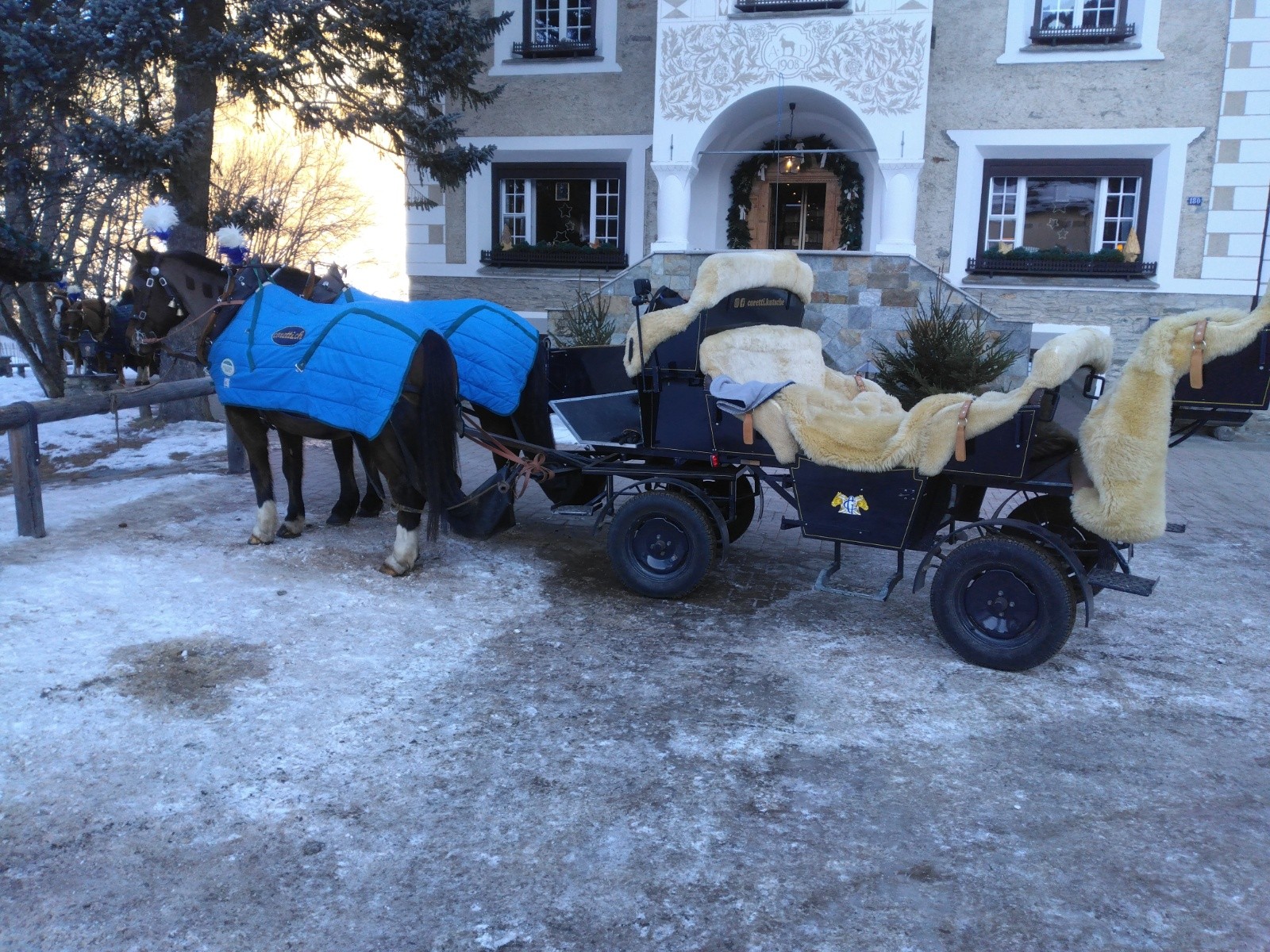 #5 Transports en commun Transports en commun