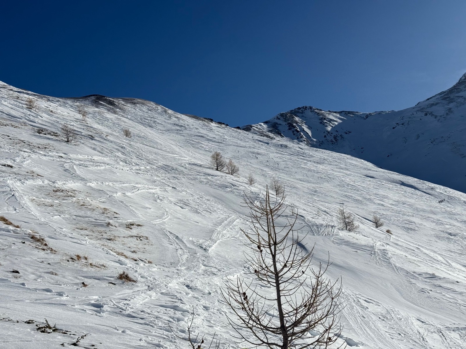 Sortie de la forêt 😢