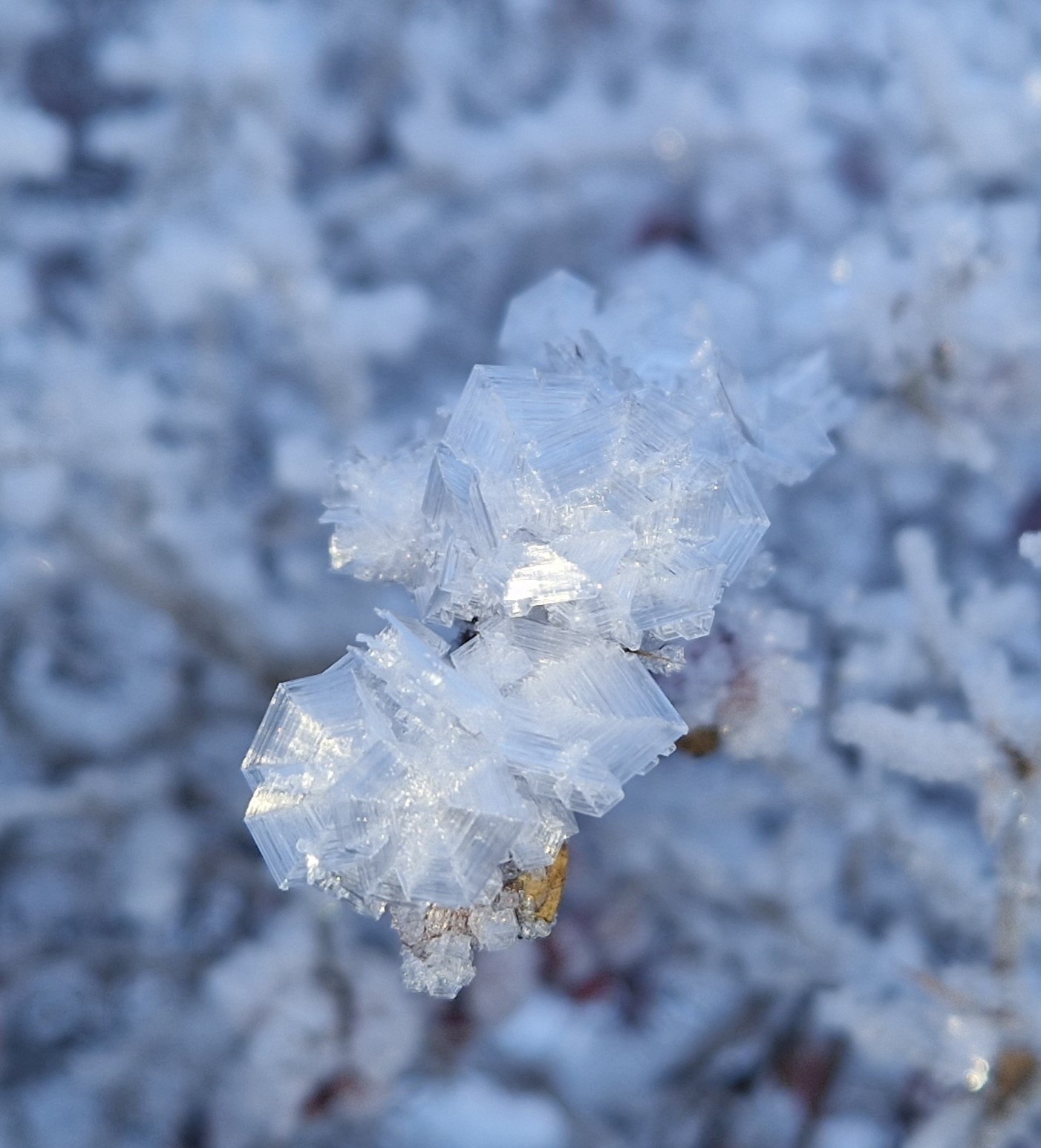 Hexagones furtifs&nbsp;