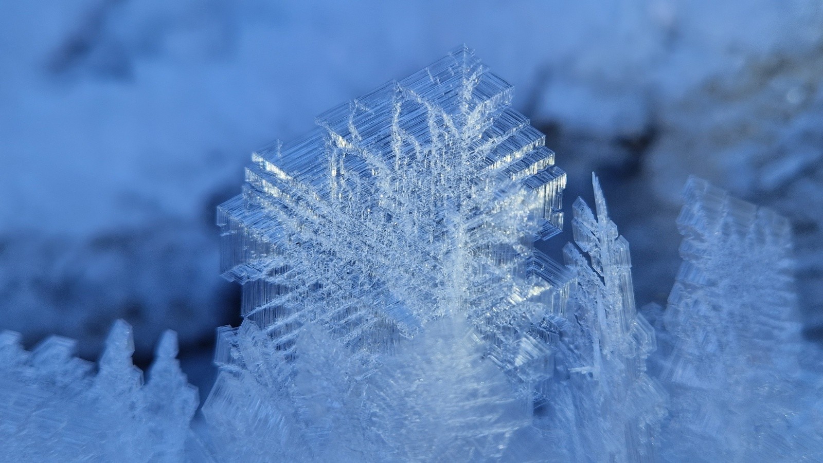 &nbsp;Dendrites - détail