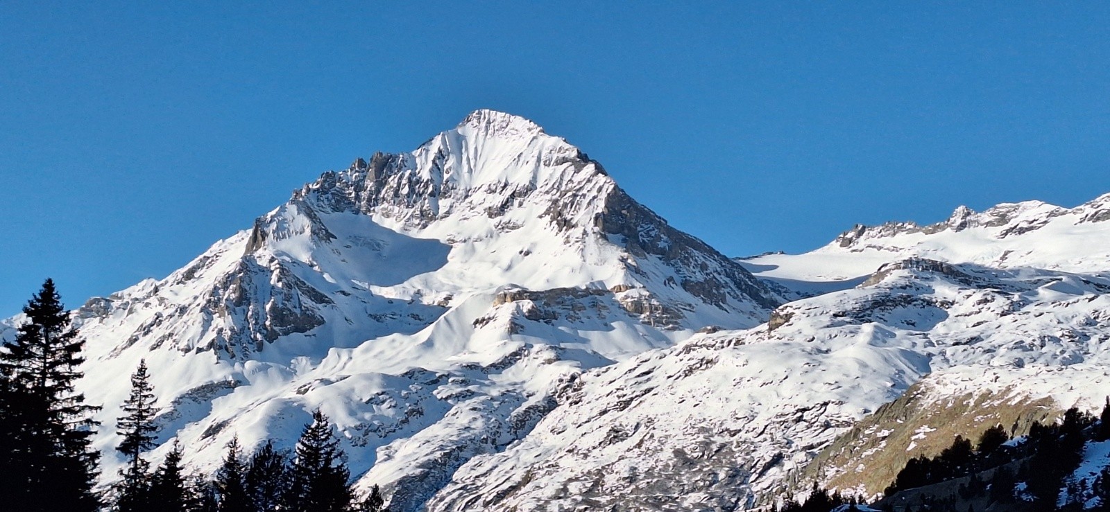 #6 Dent Parrachée Dent Parrachée