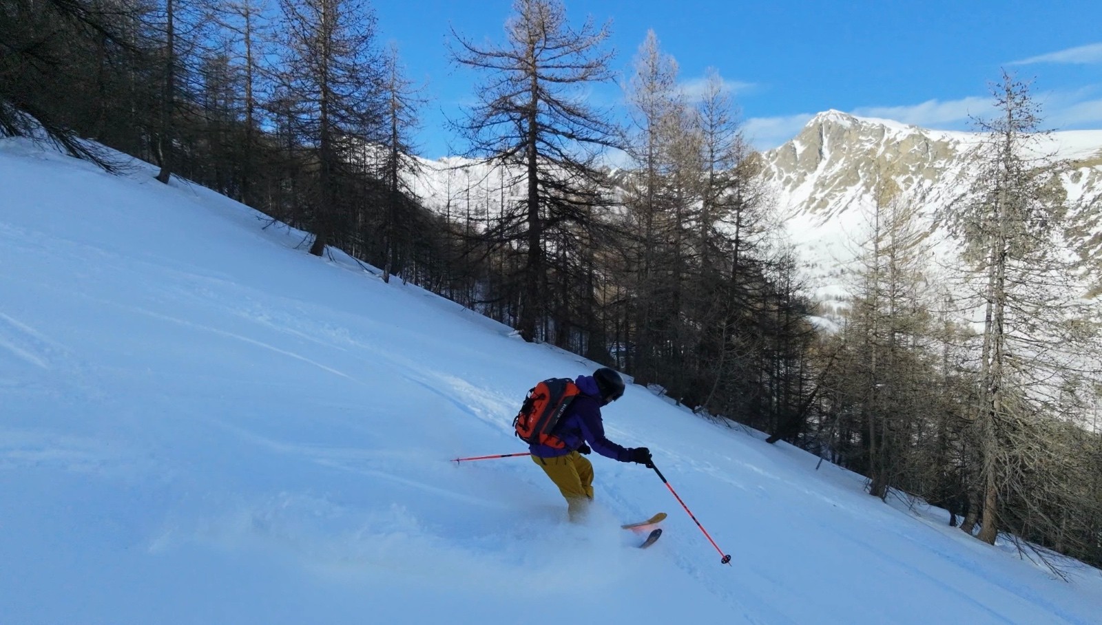 #15 Screenshot Screenshot