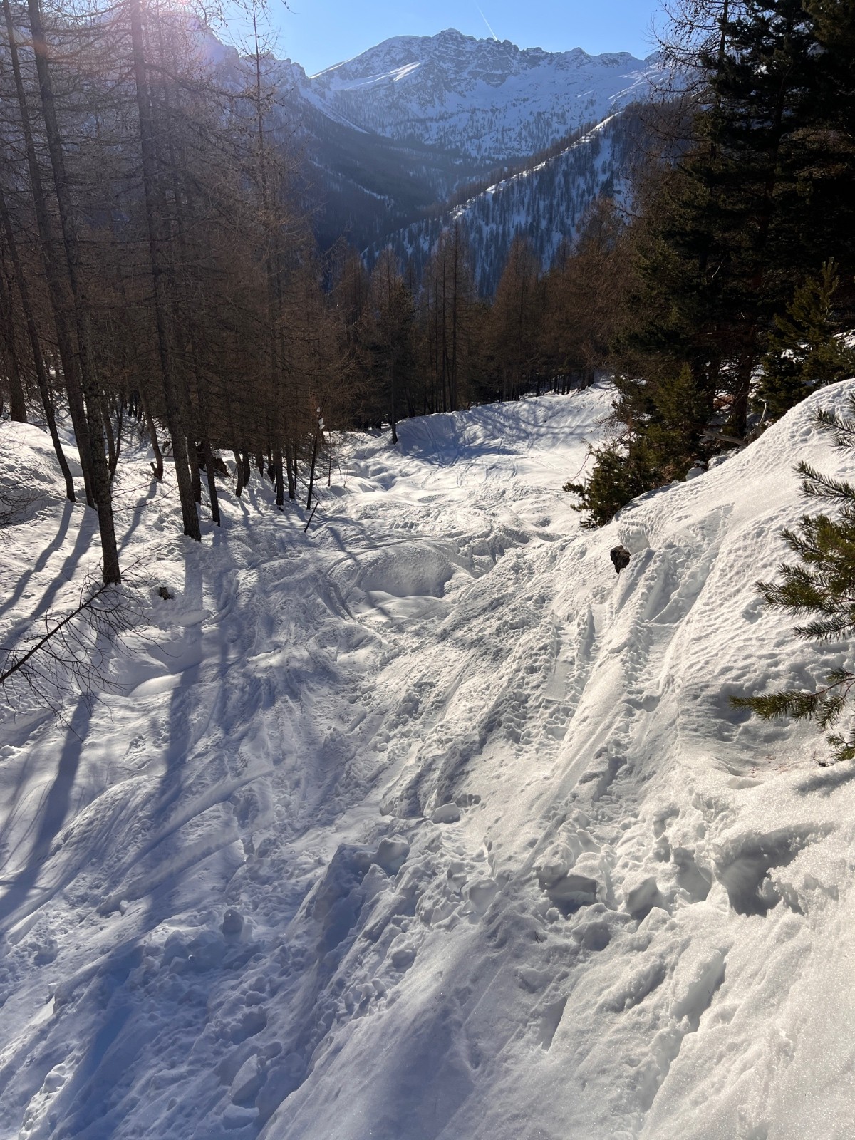 #13 Vallon de Cardon … Vallon de Cardon …