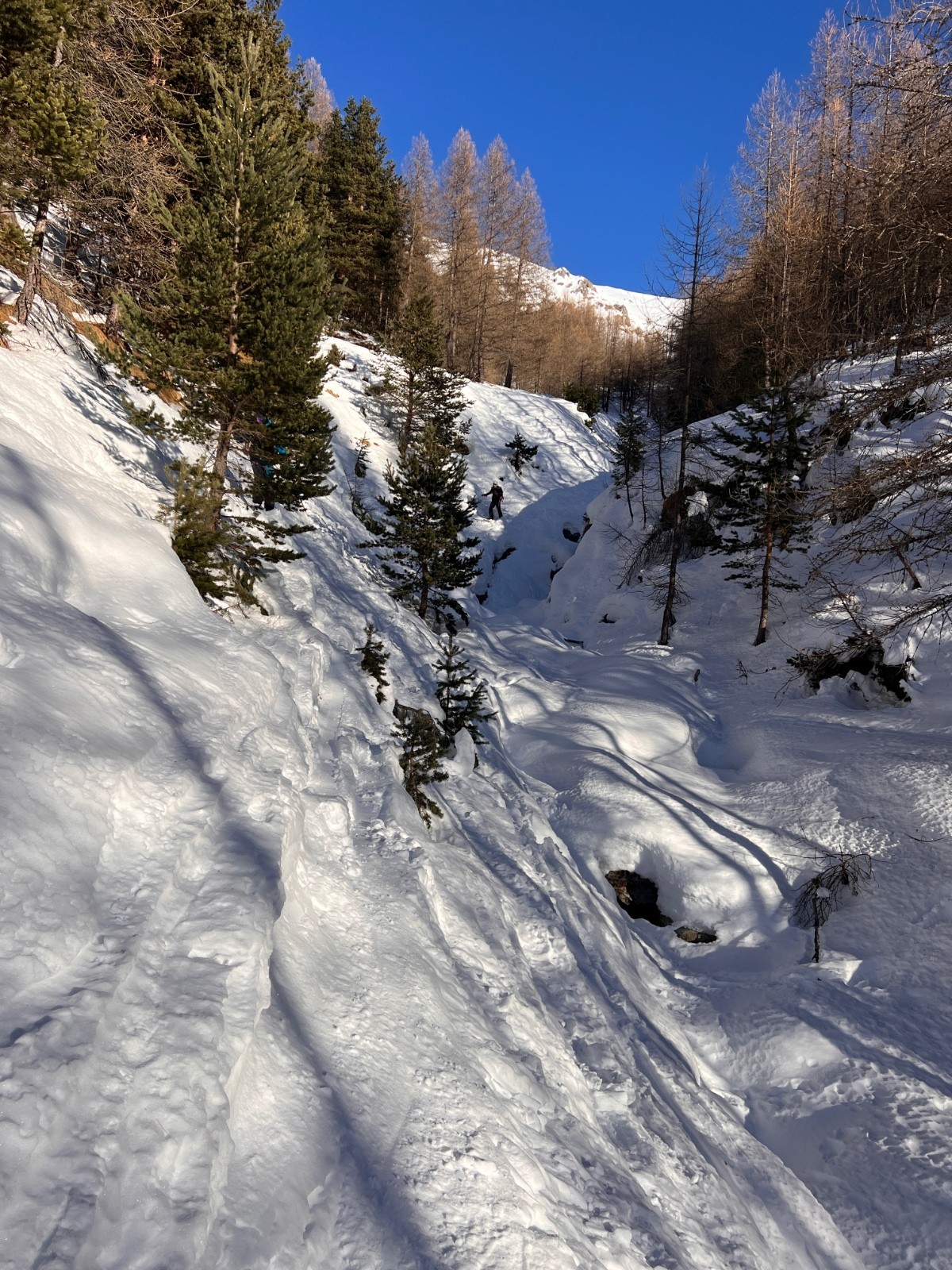 #14 Vallon de Cardon Vallon de Cardon