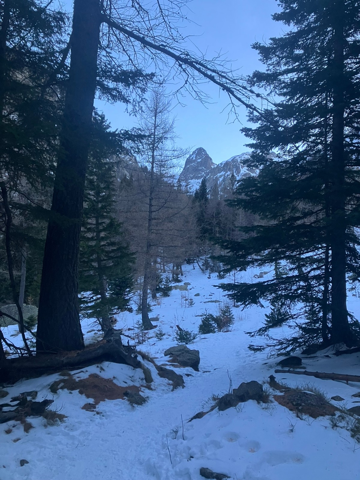 Elle apparaît... vision de rêve&nbsp;