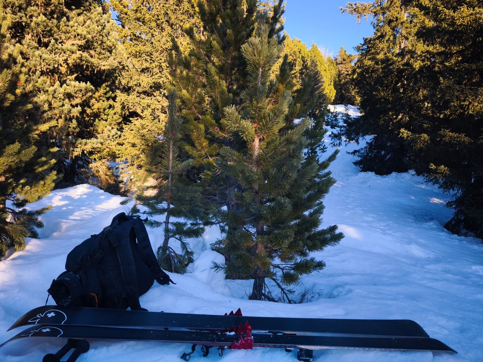 Des skis tout nus, mais avec une touche de tuning :-/