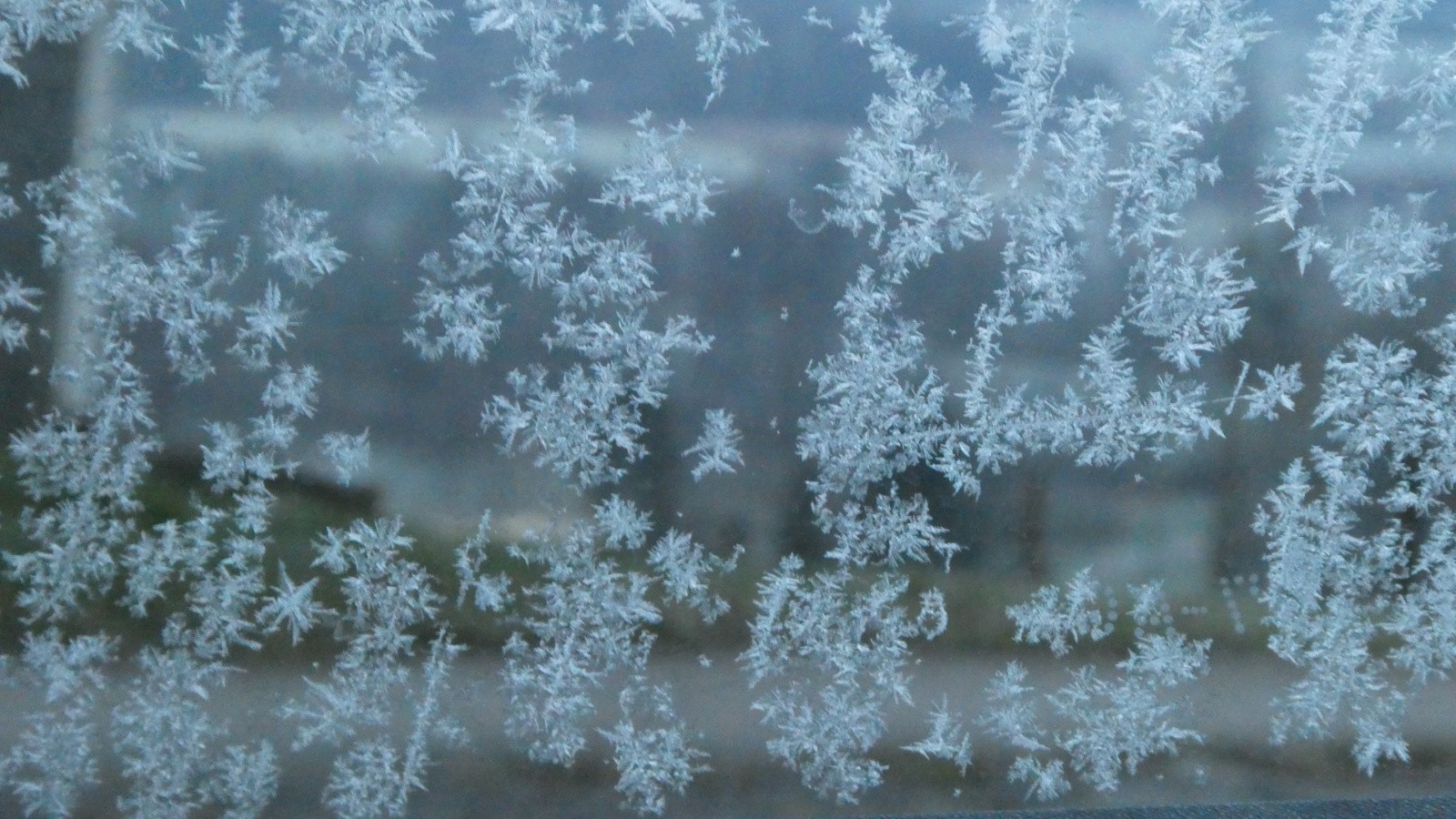 J1 au départ : je ne peux pas dire que je n'étais pas prévenue&nbsp;