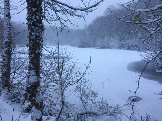 L’Étang de la Garenne est gelée contrairement à février 2018.