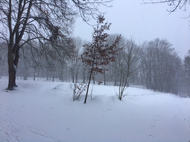 Arrivé sur le bas du Tapis Vert.
