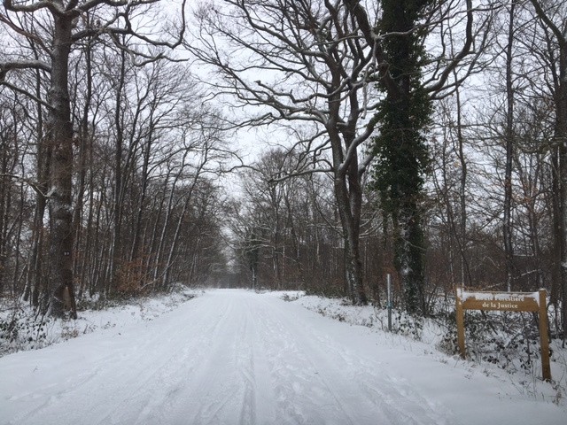 Retour maison sur un route bien déserte.&nbsp;