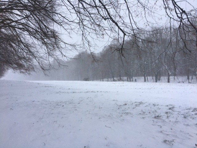 Il y a que de la pelouse, out les requins !