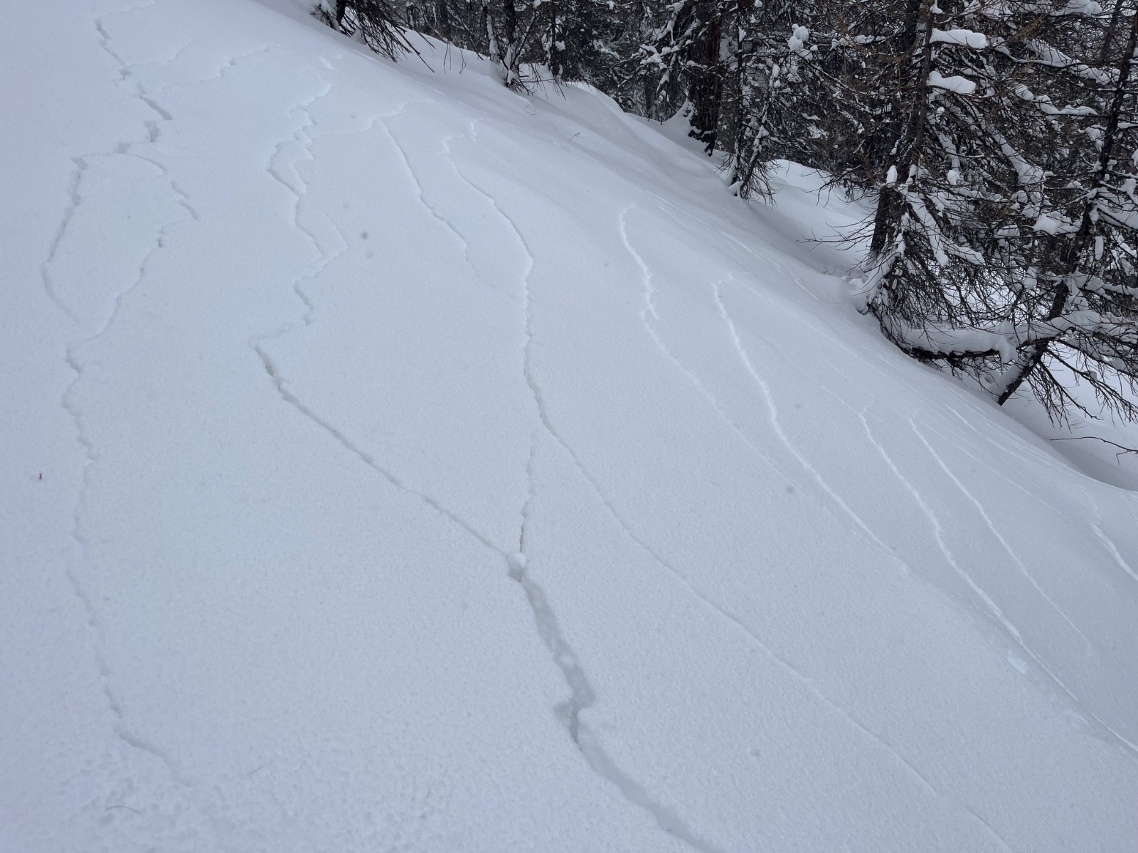 #5 Beaux signes d’instabilité Beaux signes d’instabilité