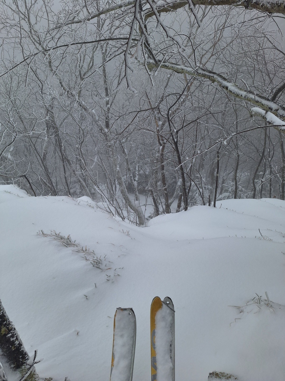 yapluska ?&nbsp;Au dessus du col pour atteindre les 1000m.