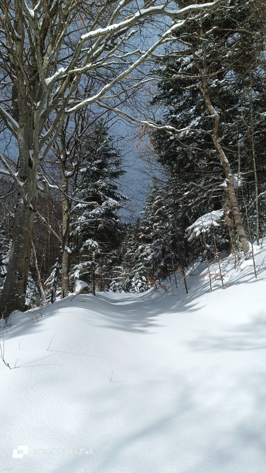 #6 Inédit ! Inédit !