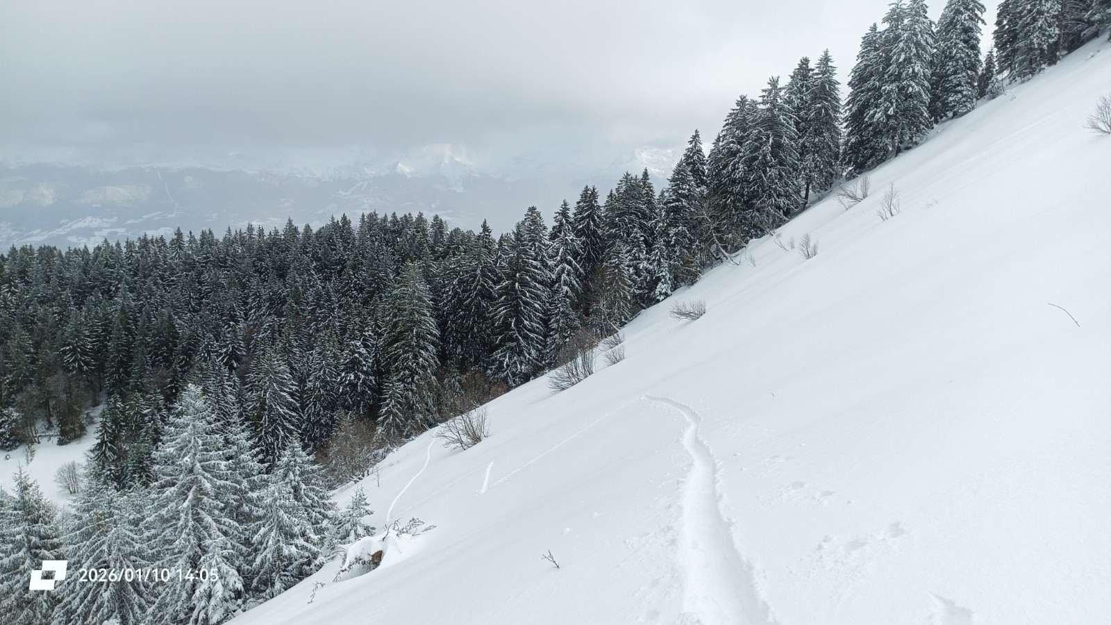 #12 Signé Glad38 Signé Glad38