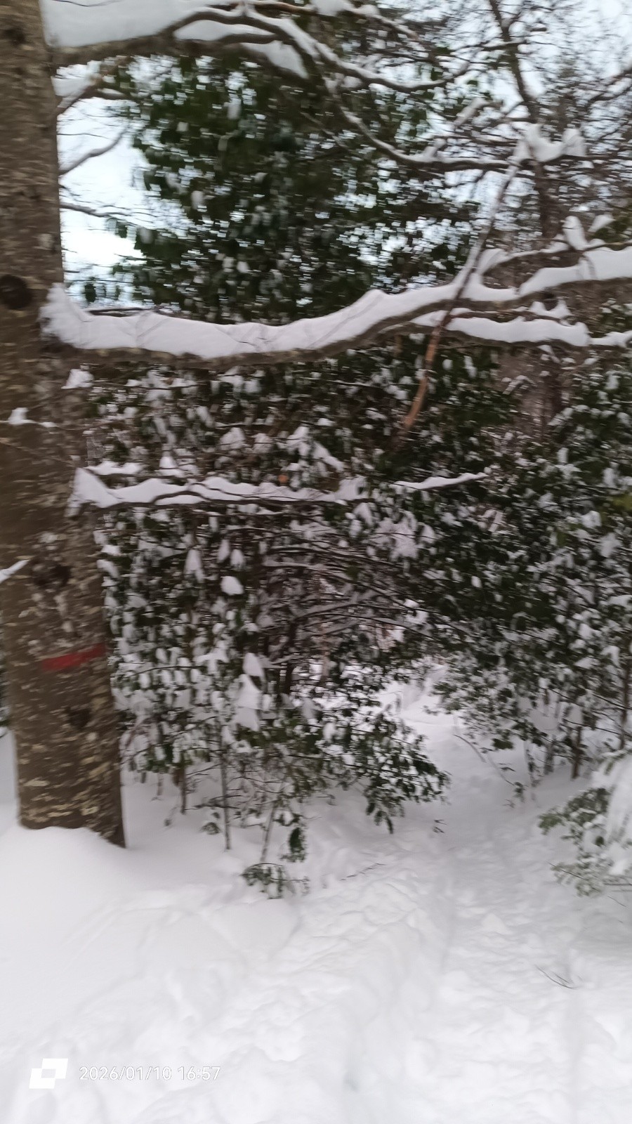 #22 C C'est des fois étroit