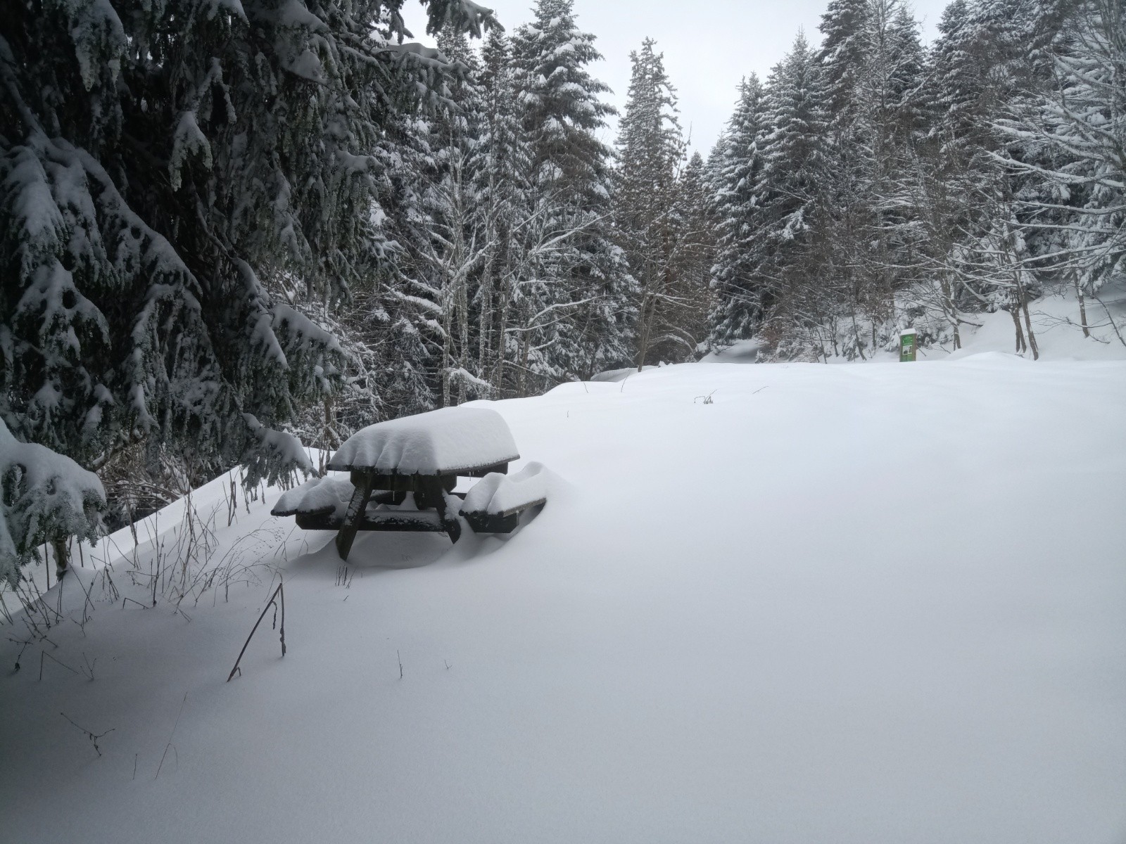 #8 A table! A table!