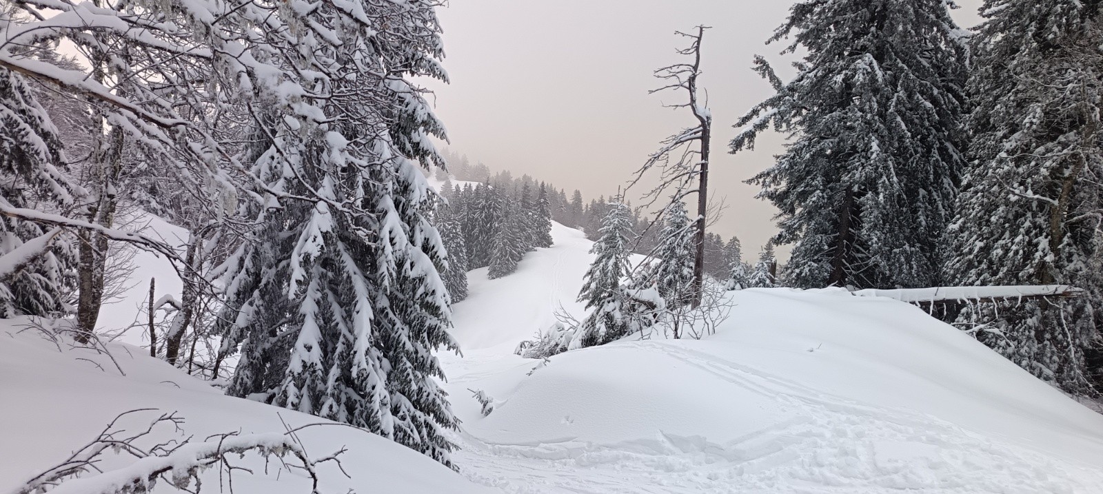 Crête de Canaple en direction de l'observatoire&nbsp;