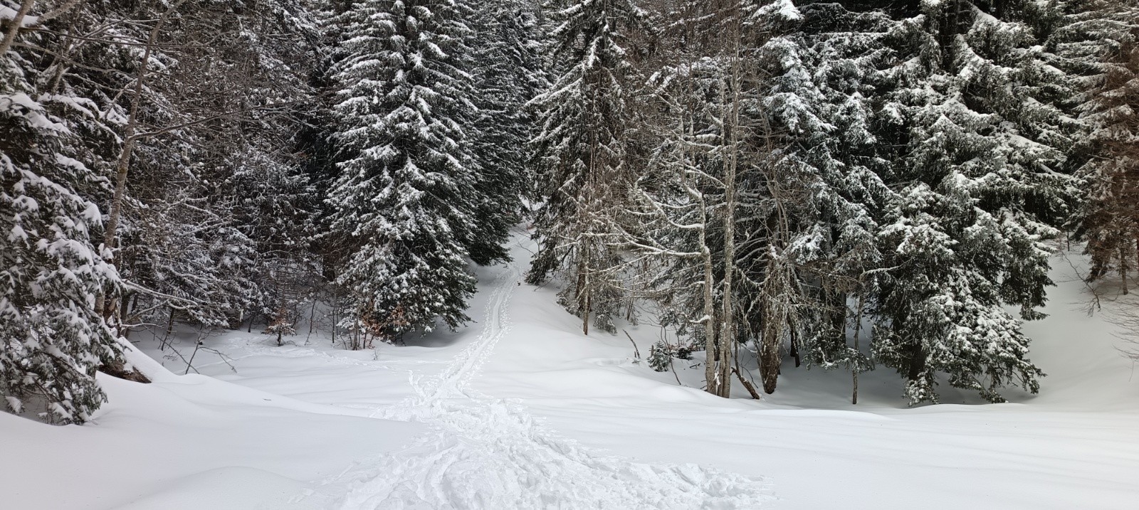 Départ bien enneigé, 0 touchette et les ruisseaux sont bien gelés sous la neige.&nbsp;