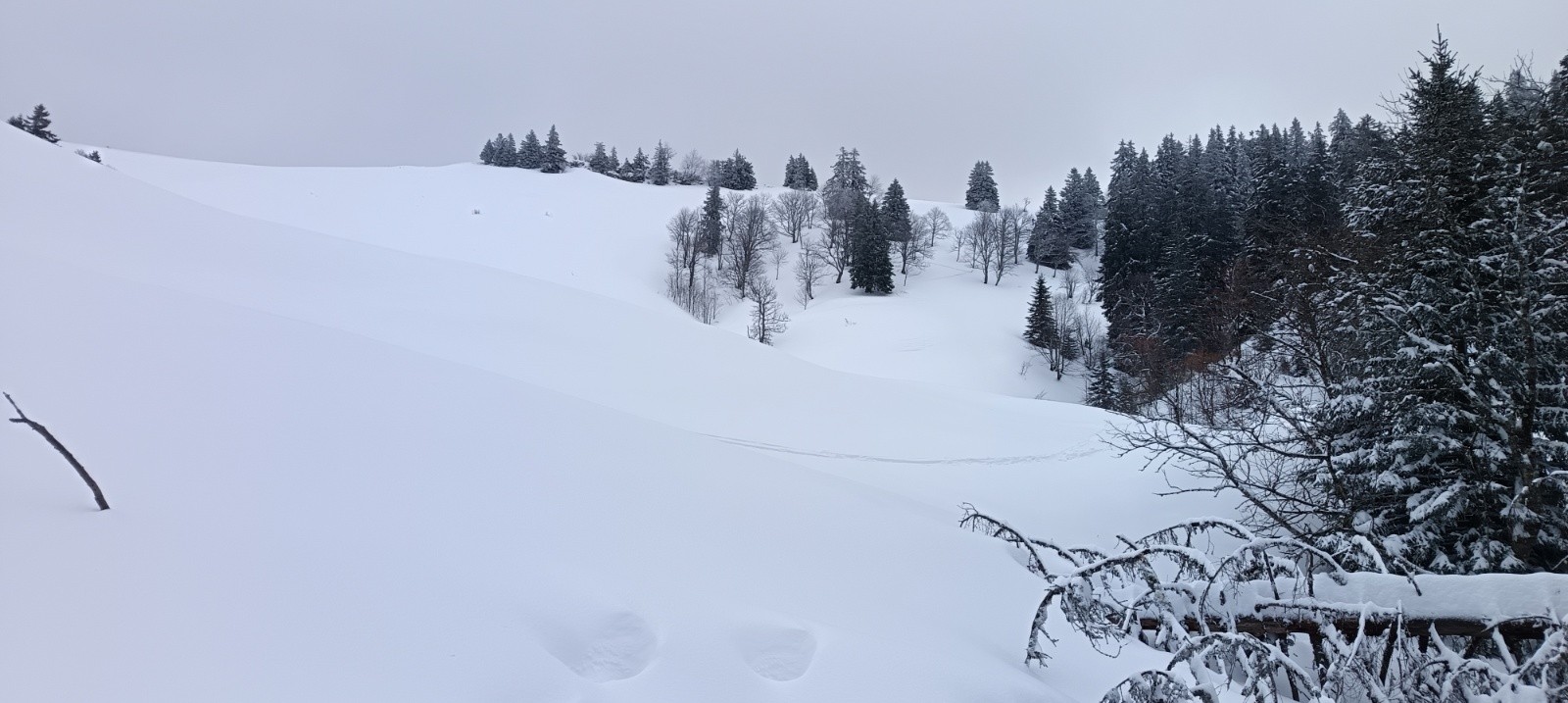 Remontée sur la crête de Canaple&nbsp;