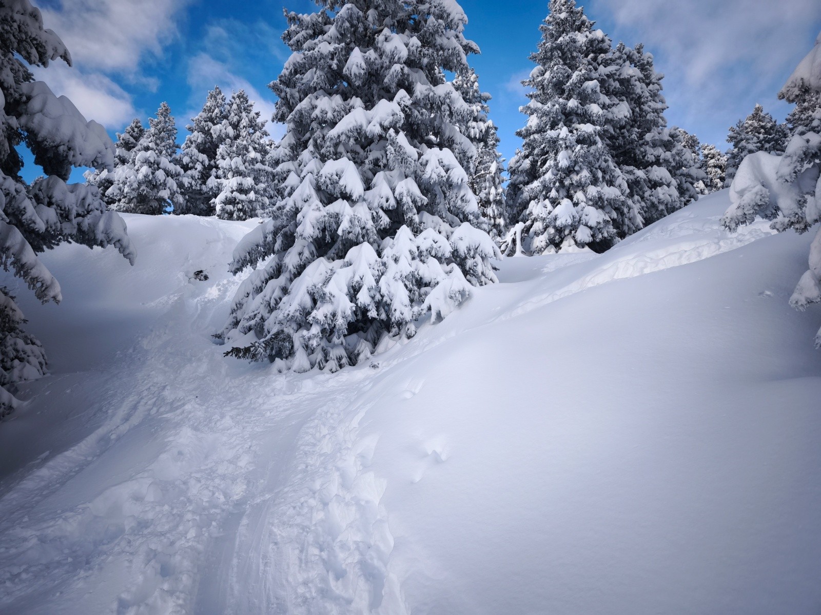 Je préfère bizarrement regardé devant finalement, le ciel y est plus accueillant^^